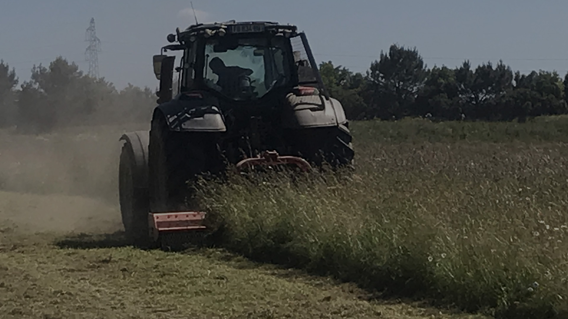 Travaux D’élagage Saint-Brévin-les-Pins (44)