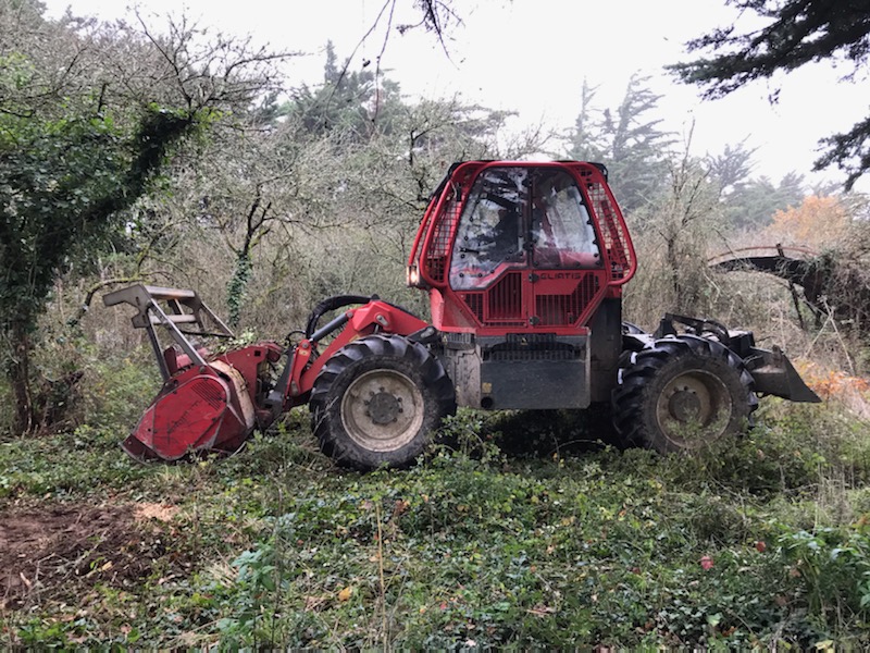 Travaux D’élagage