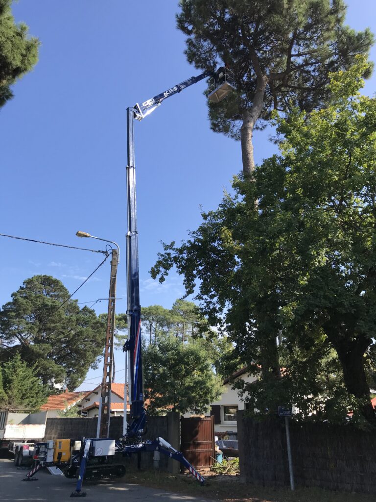 Nacelle Araignée 25